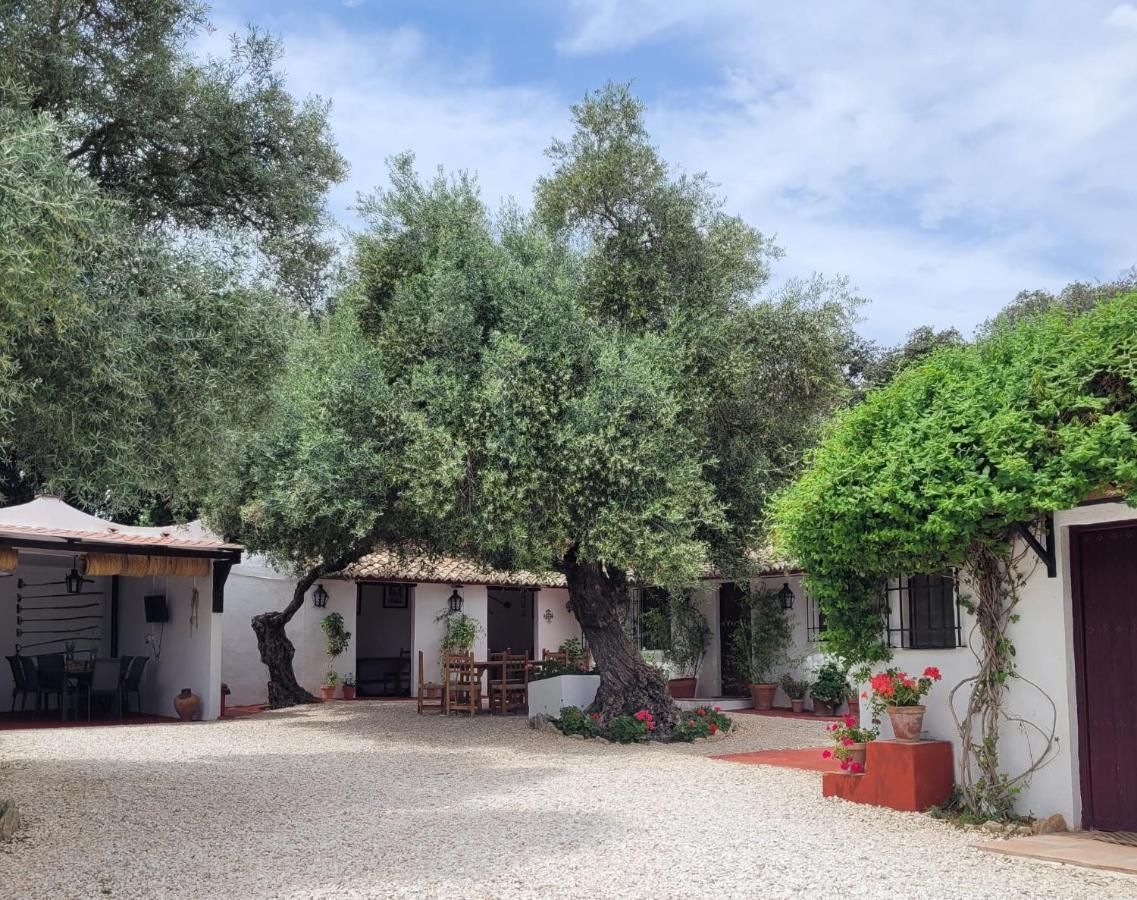 Casa Abanto Hébergement de vacances Ronda